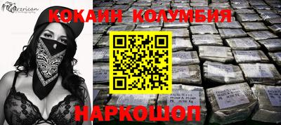 стафф Гатчина