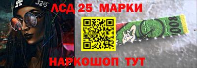 стафф Гатчина