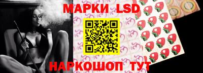 стафф Гатчина