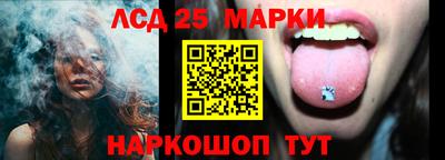 стафф Гатчина