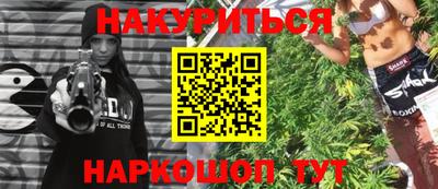 стафф Гатчина