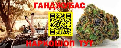 индика Гагарин