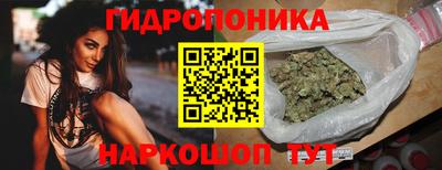 стафф Гатчина