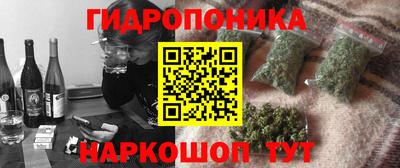 индика Гагарин