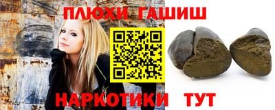 стафф Гатчина